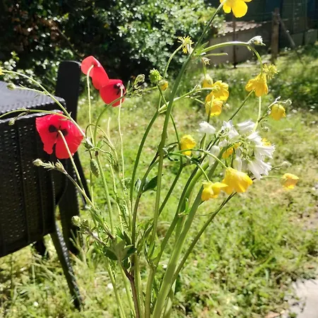 Girasole 度假居